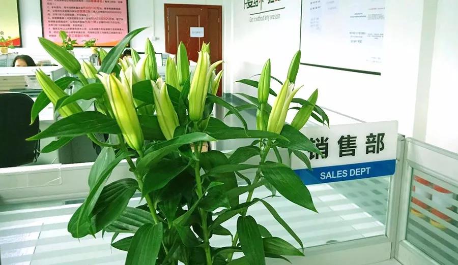 濃情七夕，最美祝福！